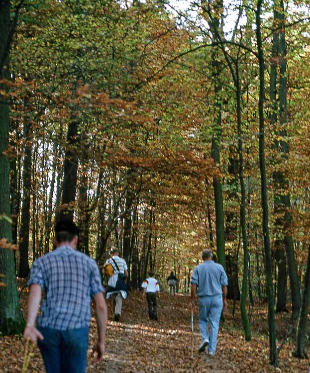 volksmarch path